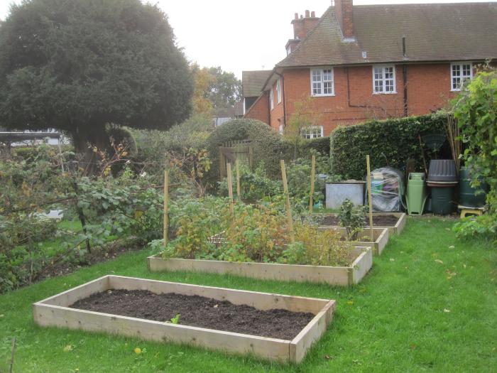 Allotment near the Orchard