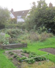 Allotment behind Temple Fortune Hill