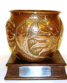 Newlyn Copper Pot