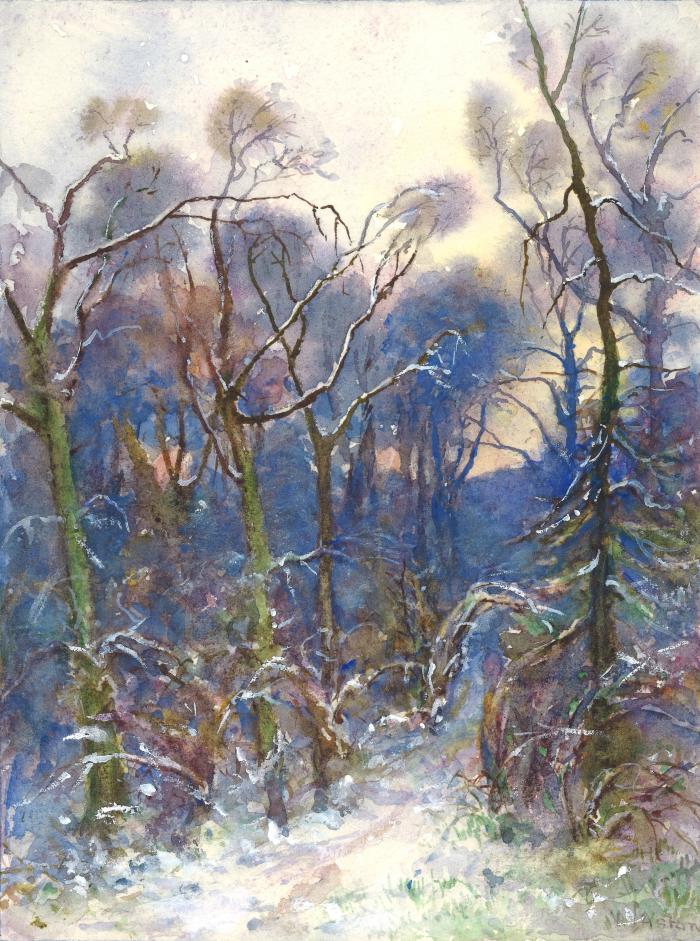 37.	A Path thro’ the Woods