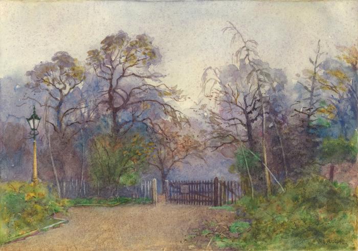 29.	Entrance to Woods