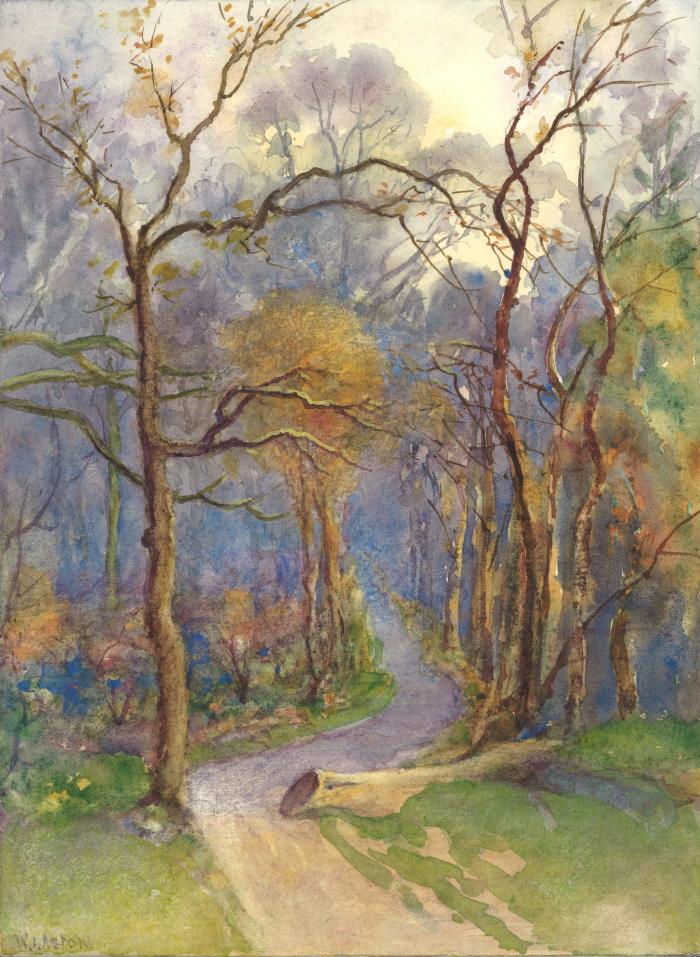 35.	A Path thro’ the Woods