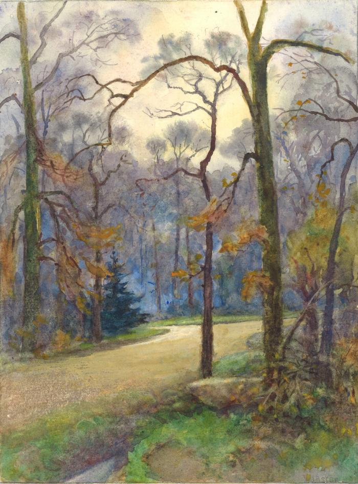 33.	Road thro’ Woods