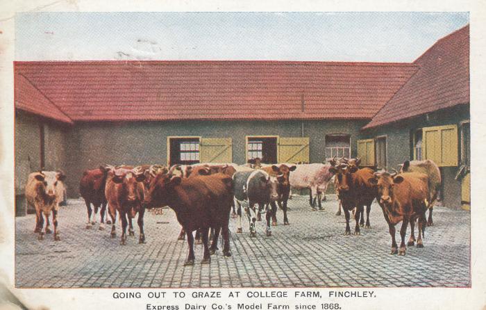 Suburb Environs c1906
