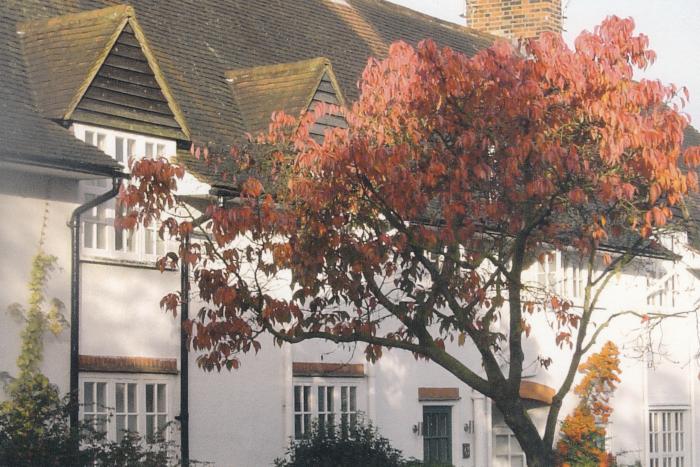 Modern cards (Willifield Way)