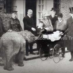 Baby Elephant visits on Treloar Day