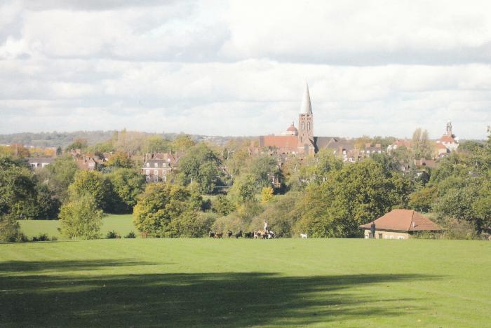 Modern cards (View from the Heath Extension)