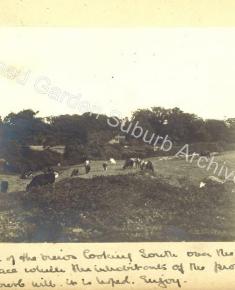 Pre Suburb - Farmland View