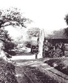 Pre Suburb - Wyldes Estate and Farm Buildings