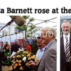 Launch of Henrietta Barnett Rose