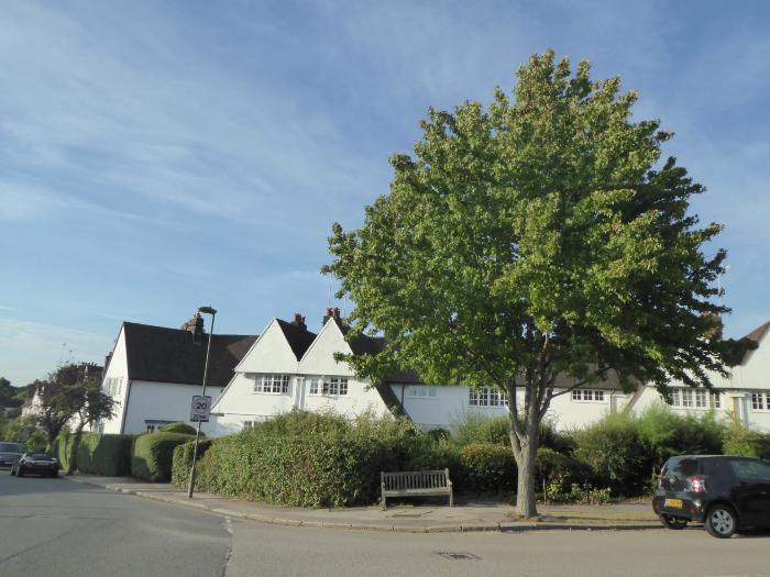 Crickmer Circus junction