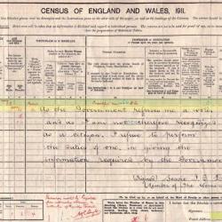 Bessie Drysdale's 1911 spoiled census form